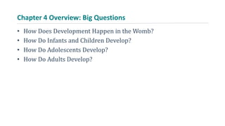 Chapter 4 Overview: Big Questions
• How Does Development Happen in the Womb?
• How Do Infants and Children Develop?
• How Do Adolescents Develop?
• How Do Adults Develop?
 