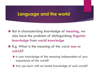 Week 4 semantics | PDF