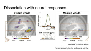 Week 4 the neural basis of consciousness introduction to the visual ...