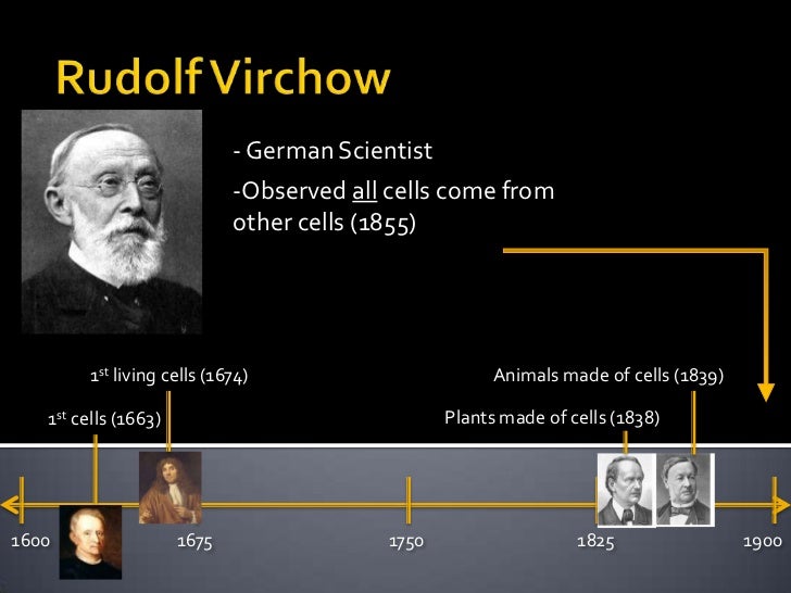 Rudolph Virchow Cell Theory Timeline