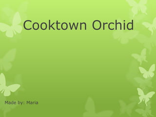 Cooktown Orchid




Made by: Maria
 