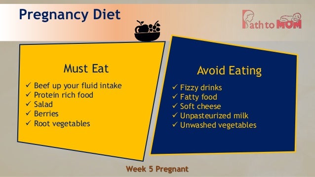 5 Weeks Pregnant | Pregnancy Week By Week | Pregnancy Stages & Fetal … 5 Weeks Pregnant | Pregnancy Week By Week | Pregnancy Stages & Fetal …