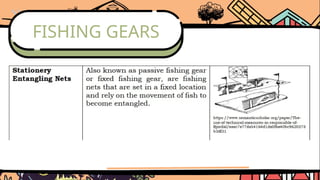FISHING GEARS
 