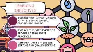 LEARNING
OBJECTIVES
·DESCRIBE POST-HARVEST HANDLING
ACTIVITIES SUCH AS SORTING,
GRADING, AND STORING
·EXPLAIN THE IMPORTANCE OF
PROPER POST-HARVEST
PRACTICES
·DIFFERENTIATE BETWEEN SIZE
SORTING AND QUALITY SORTING
 