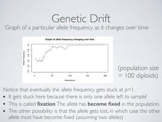 Week 5 genetic basis of evolution | PDF