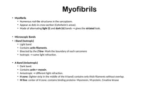 Week 5 -Muscle, it types and their structures.pptx