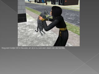 Nog een katje! Dit is Neussie, en zij is nu ook een deel van de familie.