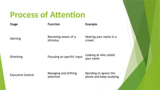 Comprehensive Lecture on Learning, Reinforcement, Attention, and Memory ...