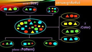 สี
(Color)
ขนาด (Size)
รูปแบบ (Pattern)
แยกและผูกสัมพันธ์
 