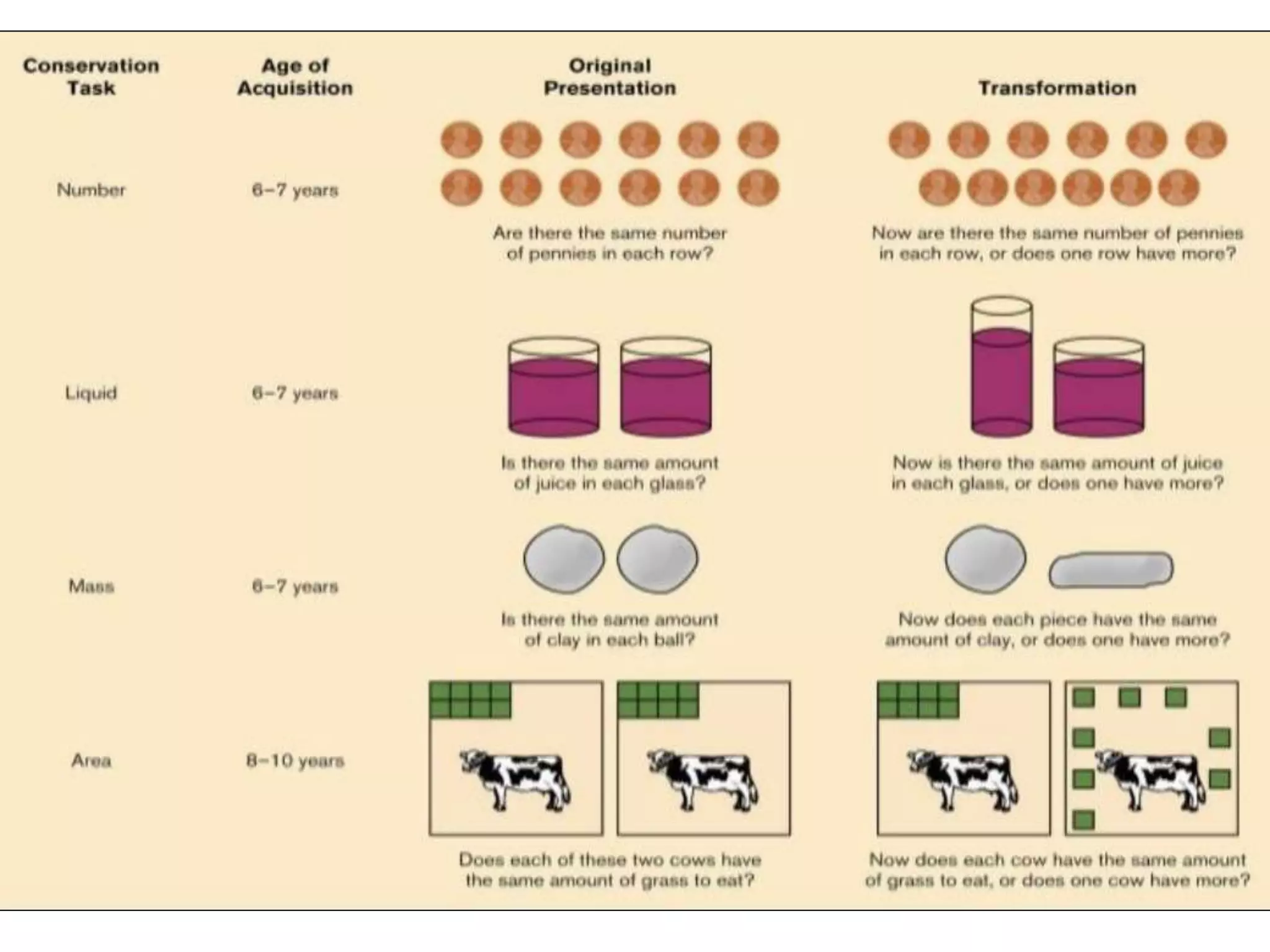 Centration and the Limits of
Preoperational Thought
Centration: focusing of attention on one
characteristic to the exclusion of all others
Conservation: awareness that altering the appearance
of an object or substance does not change its basic
properties
• Conservation may appear earlier than Piaget thought
• Attention is especially important in explaining conservation
 