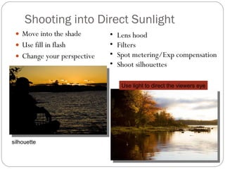 Shooting into Direct Sunlight Move into the shade Use fill in flash Change your perspective Lens hood Filters Spot metering/Exp compensation Shoot silhouettes silhouette Use light to direct the viewers eye 
