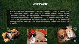 The 2016 NAF Internship Program has given me the opportunity to dive into the
world of professionalism. I have gained so much more experience in my field of
passion and I couldn’t be more grateful. I was fortunate enough to work with an
outstanding team of individuals who’s passion for animals complemented mine.
Not only has this experience helped me network with leaders in the agricultural
industry, but it has also given me a sense of independence I will keep for the rest
of my life.
 