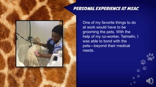 One of my favorite things to do
at work would have to be
grooming the pets. With the
help of my co-worker, Taimelin, I
was able to bond with the
pets—beyond their medical
needs.
 