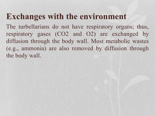 Exchanges with the environment
The turbellarians do not have respiratory organs; thus,
respiratory gases (CO2 and O2) are exchanged by
diffusion through the body wall. Most metabolic wastes
(e.g., ammonia) are also removed by diffusion through
the body wall.
 