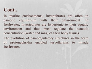 Cont..
In marine environments, invertebrates are often in
osmotic equilibrium with their environment. In
freshwater, invertebrates are hypertonic to their aquatic
environment and thus must regulate the osmotic
concentration (water and ions) of their body tissues.
The evolution of osmoregulatory structures in the form
of protonephridia enabled turbellarians to invade
freshwater.
 
