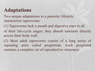 Adaptations
Two unique adaptations to a parasitic lifestyle
characterize tapeworms:
(1) Tapeworms lack a mouth and digestive tract in all
of their life-cycle stages; they absorb nutrients directly
across their body wall.
(2) Most adult tapeworms consist of a long series of
repeating units called proglottids. Each proglottid
contains a complete set of reproductive structures.
 