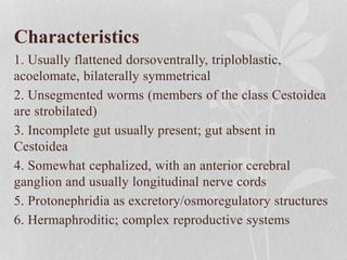 Characteristics
1. Usually flattened dorsoventrally, triploblastic,
acoelomate, bilaterally symmetrical
2. Unsegmented worms (members of the class Cestoidea
are strobilated)
3. Incomplete gut usually present; gut absent in
Cestoidea
4. Somewhat cephalized, with an anterior cerebral
ganglion and usually longitudinal nerve cords
5. Protonephridia as excretory/osmoregulatory structures
6. Hermaphroditic; complex reproductive systems
 