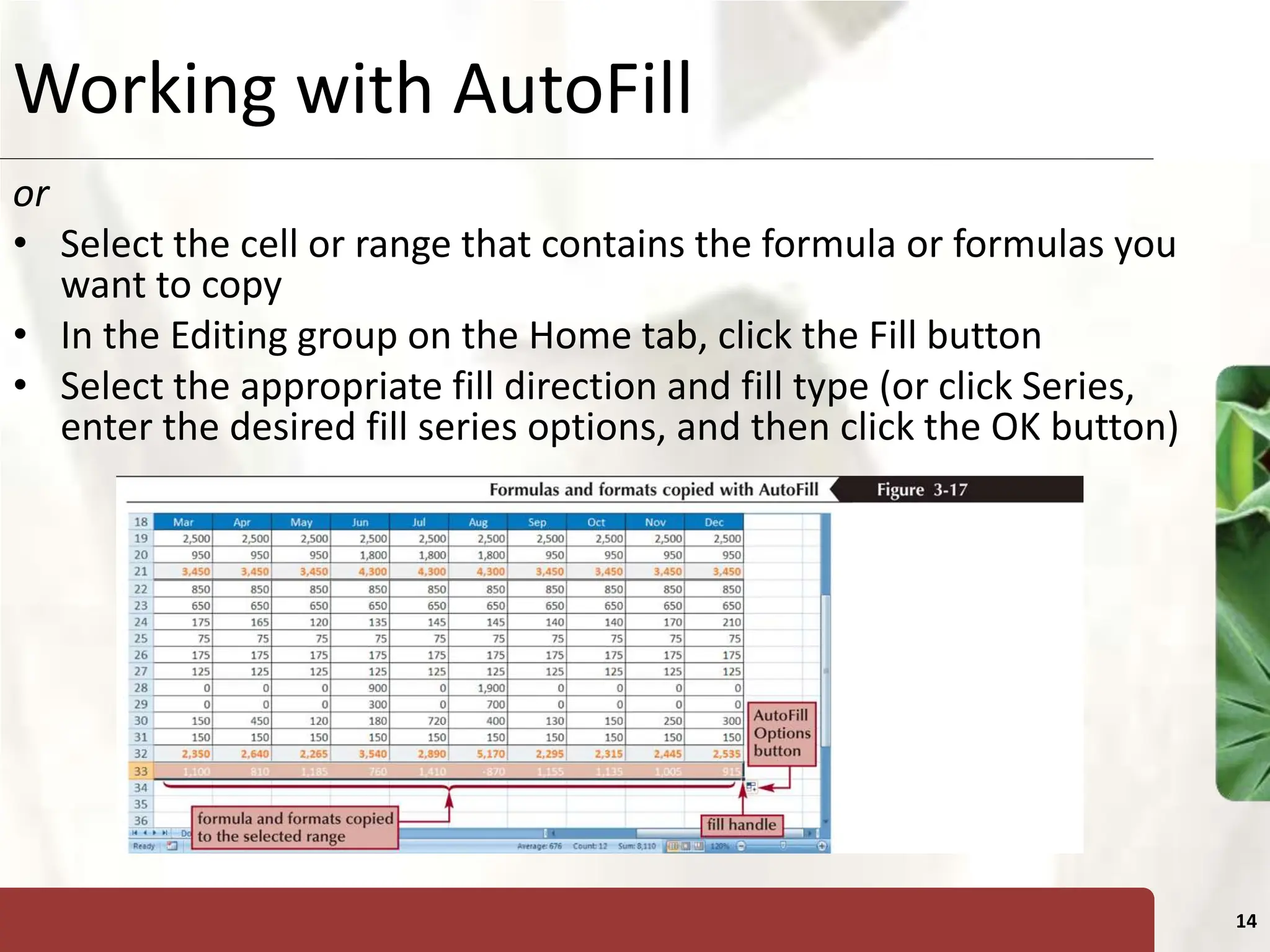 Week 5_Lesson_Working with formulas and Functions.pptx