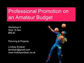 Professional Promotion on an Amateur Budget Workshop 5 Wed 16 Nov BRLSI Planning & Projects Lindsay Endean [email_address] www.lindsayendean.co.uk 