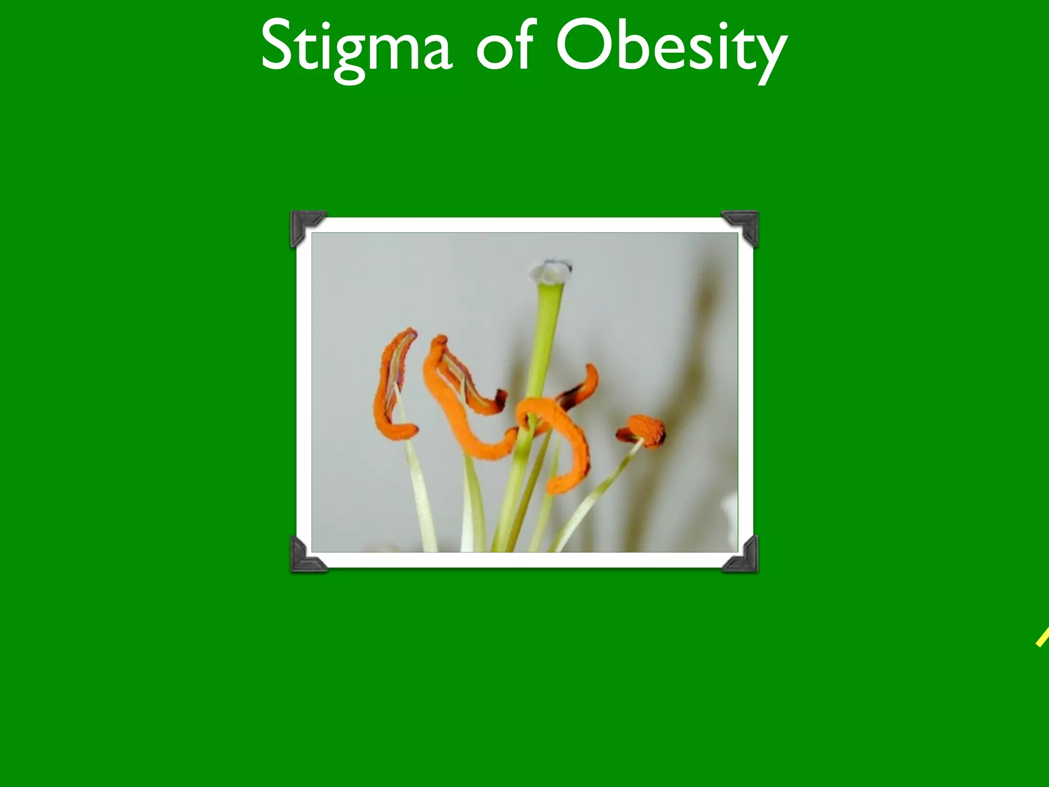 Stigma of Obesity
 