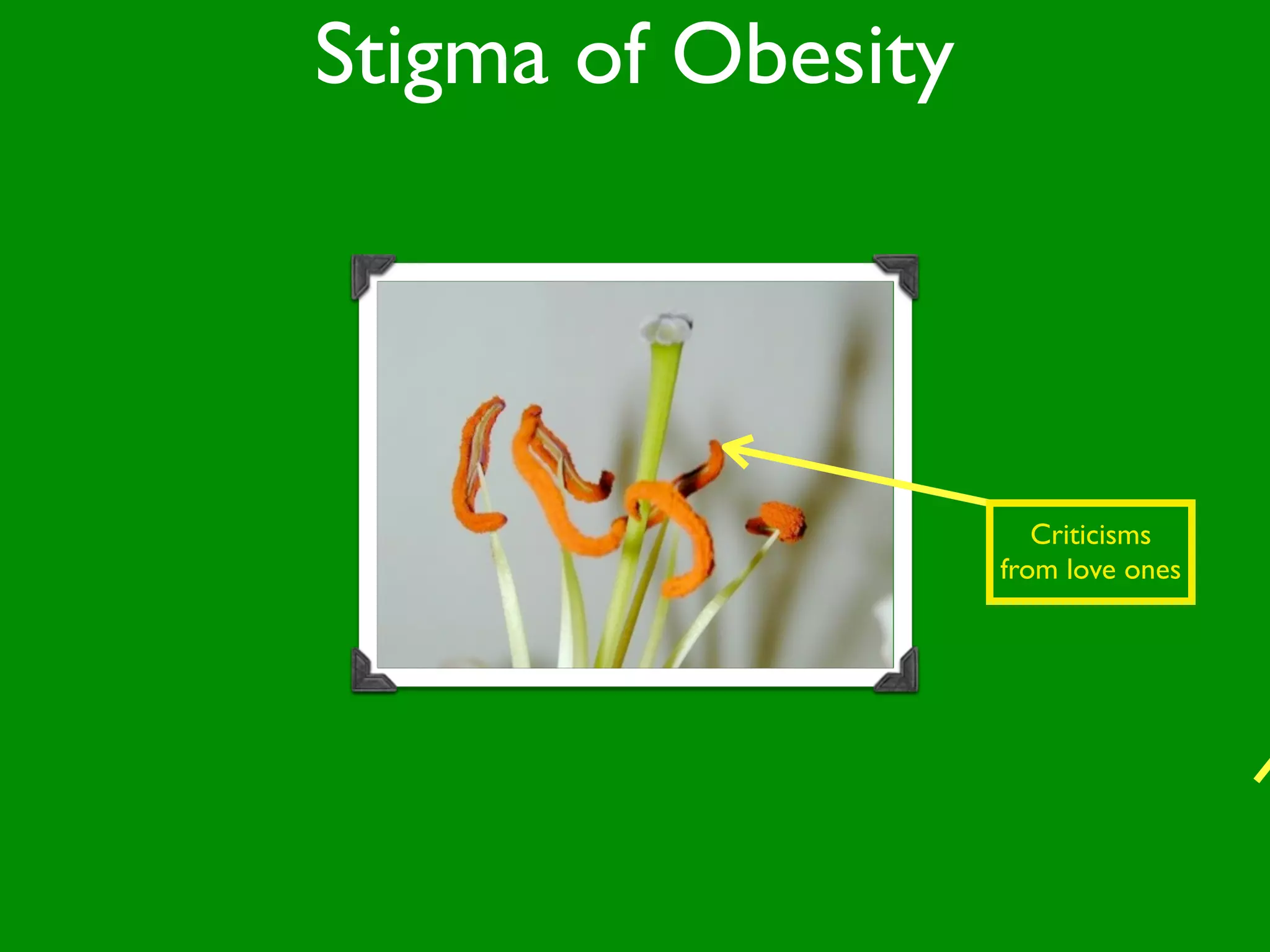 Stigma of Obesity




                       Criticisms
                    from love ones
 