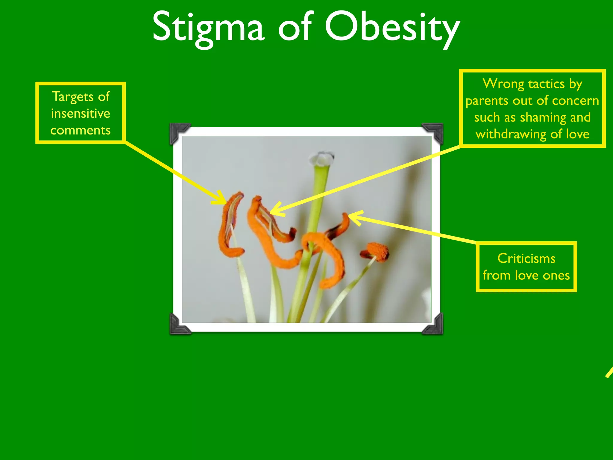 Stigma of Obesity
                                     Wrong tactics by
Targets of                        parents out of concern
insensitive                        such as shaming and
comments                           withdrawing of love




                                       Criticisms
                                    from love ones
 