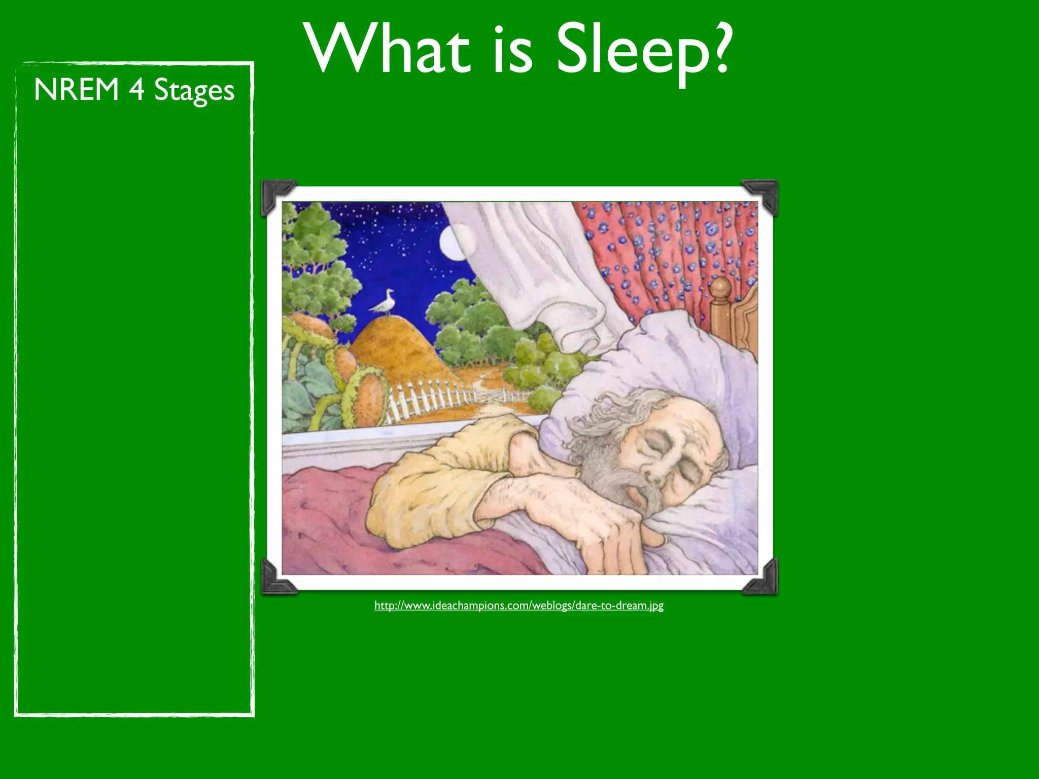 NREM 4 Stages
                What is Sleep?




                  http://www.ideachampions.com/weblogs/dare-to-dream.jpg
 