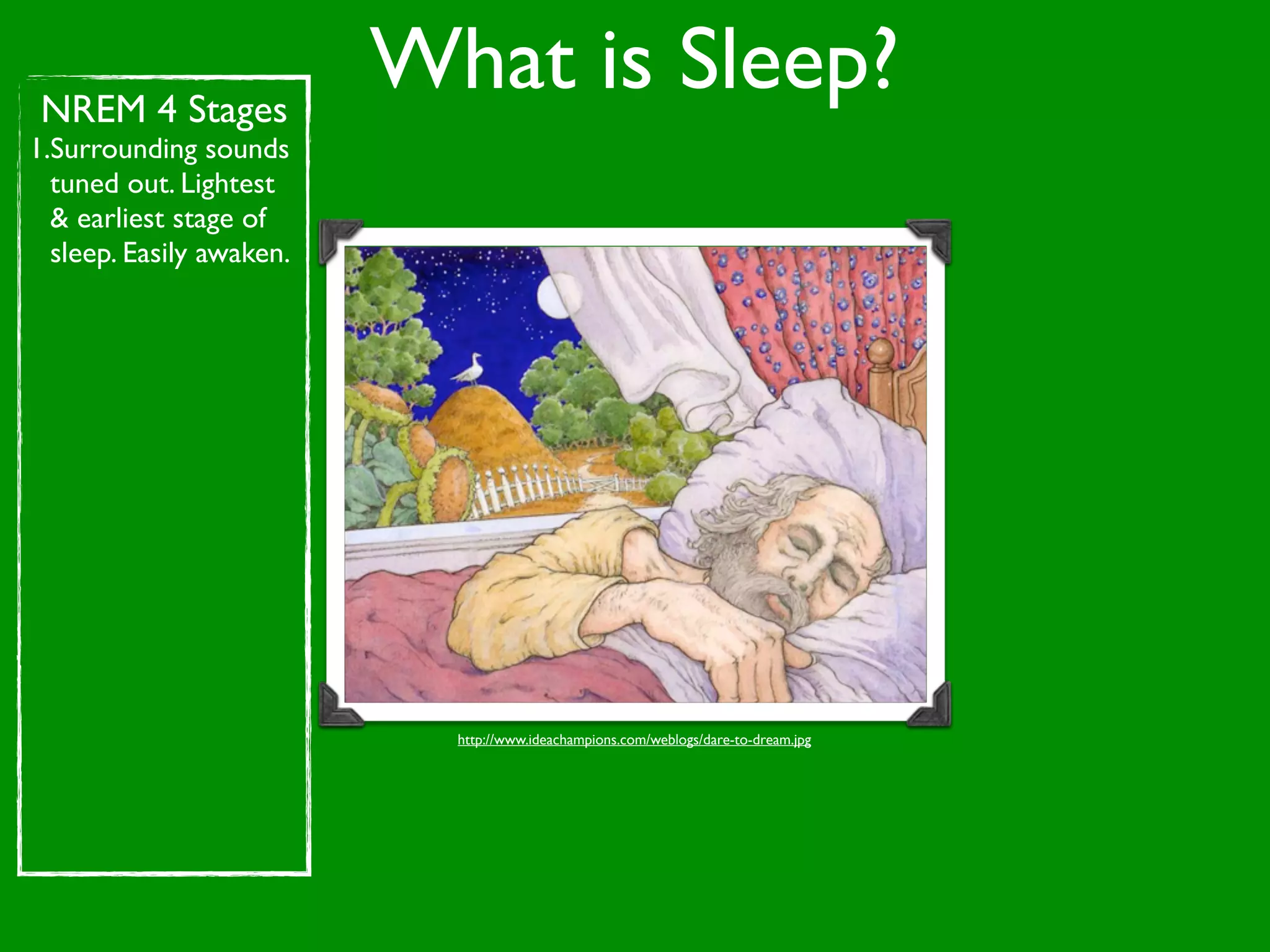 NREM 4 Stages
                          What is Sleep?
1.Surrounding sounds
  tuned out. Lightest
  & earliest stage of
  sleep. Easily awaken.




                            http://www.ideachampions.com/weblogs/dare-to-dream.jpg
 