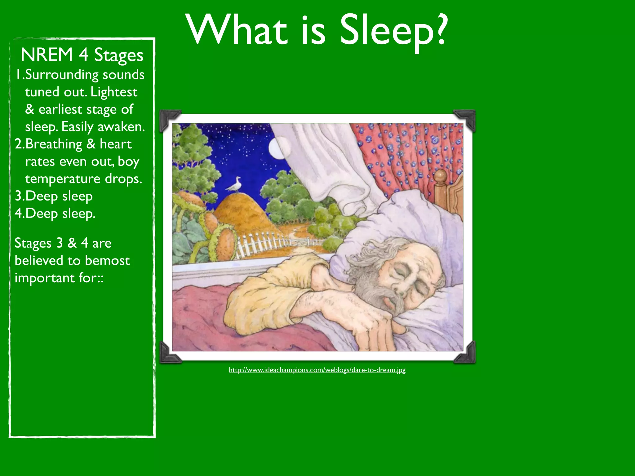NREM 4 Stages
                          What is Sleep?
1.Surrounding sounds
  tuned out. Lightest
  & earliest stage of
  sleep. Easily awaken.
2.Breathing & heart
  rates even out, boy
  temperature drops.
3.Deep sleep
4.Deep sleep.

Stages 3 & 4 are
believed to bemost
important for::




                            http://www.ideachampions.com/weblogs/dare-to-dream.jpg
 