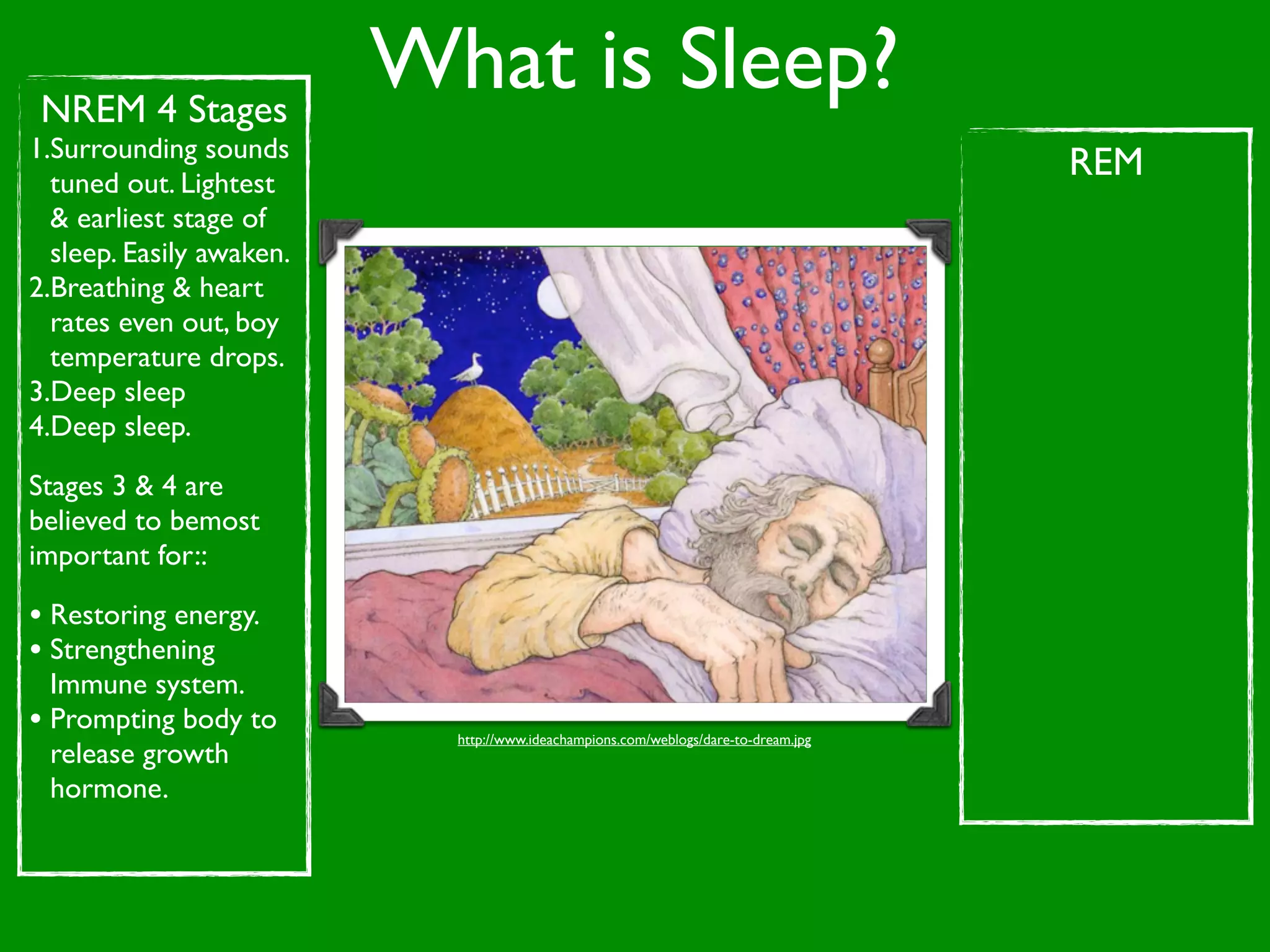 NREM 4 Stages
                          What is Sleep?
1.Surrounding sounds
  tuned out. Lightest
                                                                                     REM
  & earliest stage of
  sleep. Easily awaken.
2.Breathing & heart
  rates even out, boy
  temperature drops.
3.Deep sleep
4.Deep sleep.

Stages 3 & 4 are
believed to bemost
important for::

• Restoring energy.
• Strengthening
  Immune system.
• Prompting body to         http://www.ideachampions.com/weblogs/dare-to-dream.jpg
  release growth
  hormone.
 