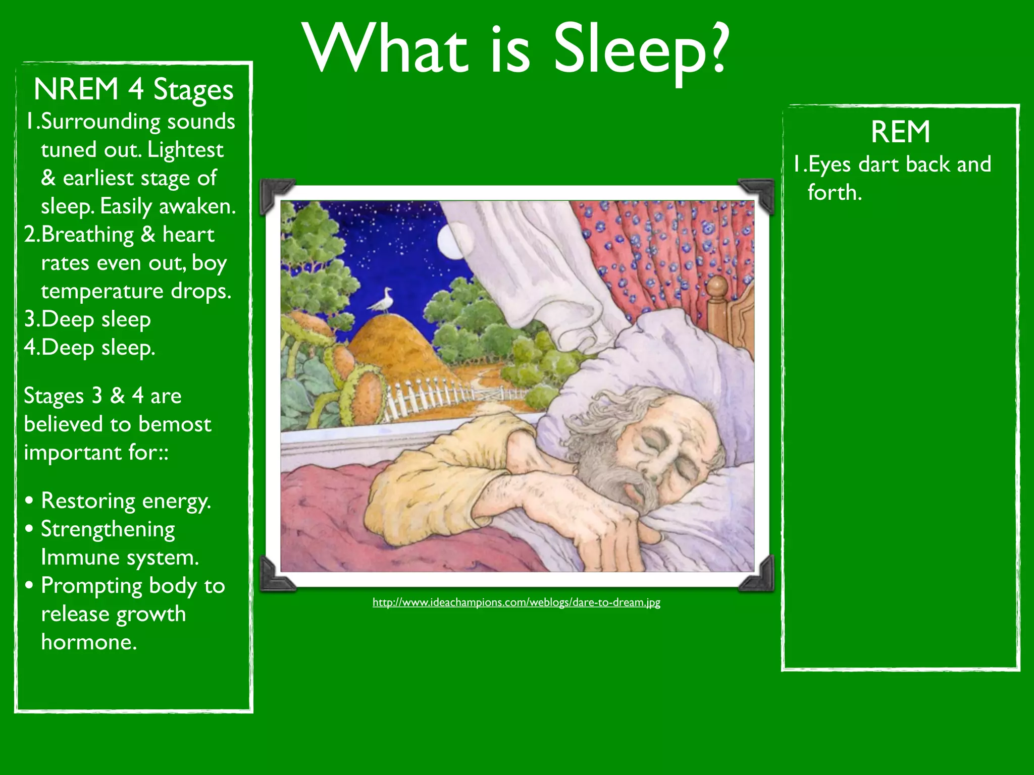 NREM 4 Stages
                          What is Sleep?
1.Surrounding sounds
  tuned out. Lightest
                                                                                            REM
                                                                                     1.Eyes dart back and
  & earliest stage of
                                                                                       forth.
  sleep. Easily awaken.
2.Breathing & heart
  rates even out, boy
  temperature drops.
3.Deep sleep
4.Deep sleep.

Stages 3 & 4 are
believed to bemost
important for::

• Restoring energy.
• Strengthening
  Immune system.
• Prompting body to         http://www.ideachampions.com/weblogs/dare-to-dream.jpg
  release growth
  hormone.
 