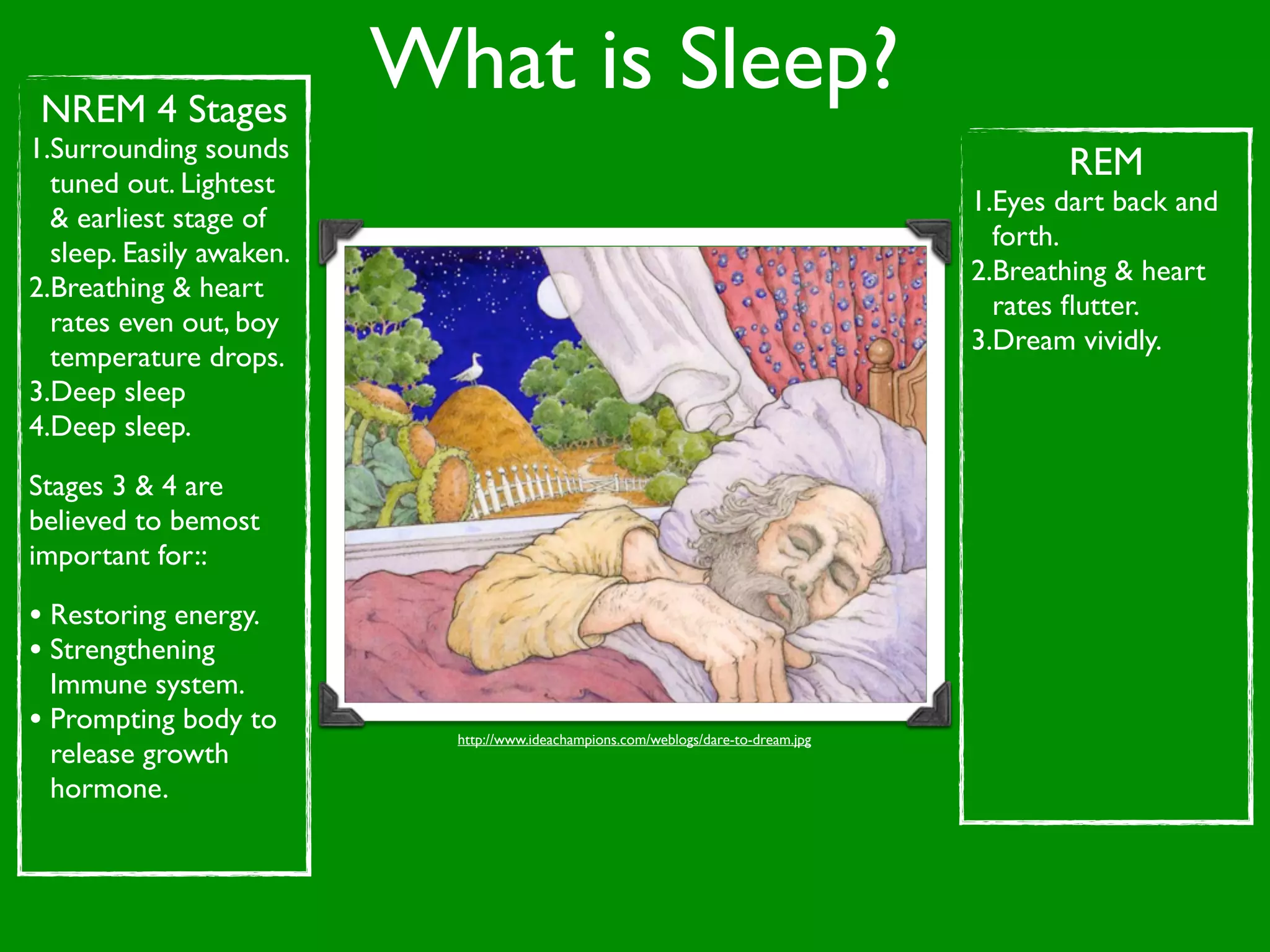 NREM 4 Stages
                          What is Sleep?
1.Surrounding sounds
  tuned out. Lightest
                                                                                            REM
                                                                                     1.Eyes dart back and
  & earliest stage of
                                                                                       forth.
  sleep. Easily awaken.
                                                                                     2.Breathing & heart
2.Breathing & heart
                                                                                       rates ﬂutter.
  rates even out, boy
                                                                                     3.Dream vividly.
  temperature drops.
3.Deep sleep
4.Deep sleep.

Stages 3 & 4 are
believed to bemost
important for::

• Restoring energy.
• Strengthening
  Immune system.
• Prompting body to         http://www.ideachampions.com/weblogs/dare-to-dream.jpg
  release growth
  hormone.
 