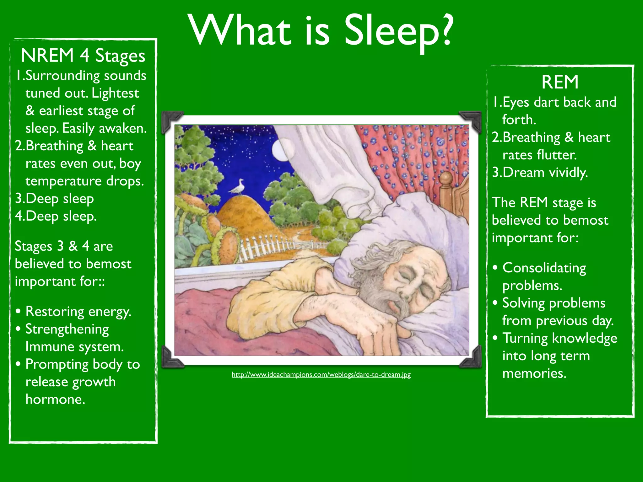 NREM 4 Stages
                          What is Sleep?
1.Surrounding sounds
  tuned out. Lightest
                                                                                            REM
                                                                                     1.Eyes dart back and
  & earliest stage of
                                                                                       forth.
  sleep. Easily awaken.
                                                                                     2.Breathing & heart
2.Breathing & heart
                                                                                       rates ﬂutter.
  rates even out, boy
                                                                                     3.Dream vividly.
  temperature drops.
3.Deep sleep                                                                         The REM stage is
4.Deep sleep.                                                                        believed to bemost
                                                                                     important for:
Stages 3 & 4 are
believed to bemost                                                                   • Consolidating
important for::                                                                        problems.
• Restoring energy.                                                                  • Solving problems
                                                                                       from previous day.
• Strengthening                                                                      • Turning knowledge
  Immune system.
                                                                                       into long term
• Prompting body to         http://www.ideachampions.com/weblogs/dare-to-dream.jpg     memories.
  release growth
  hormone.
 