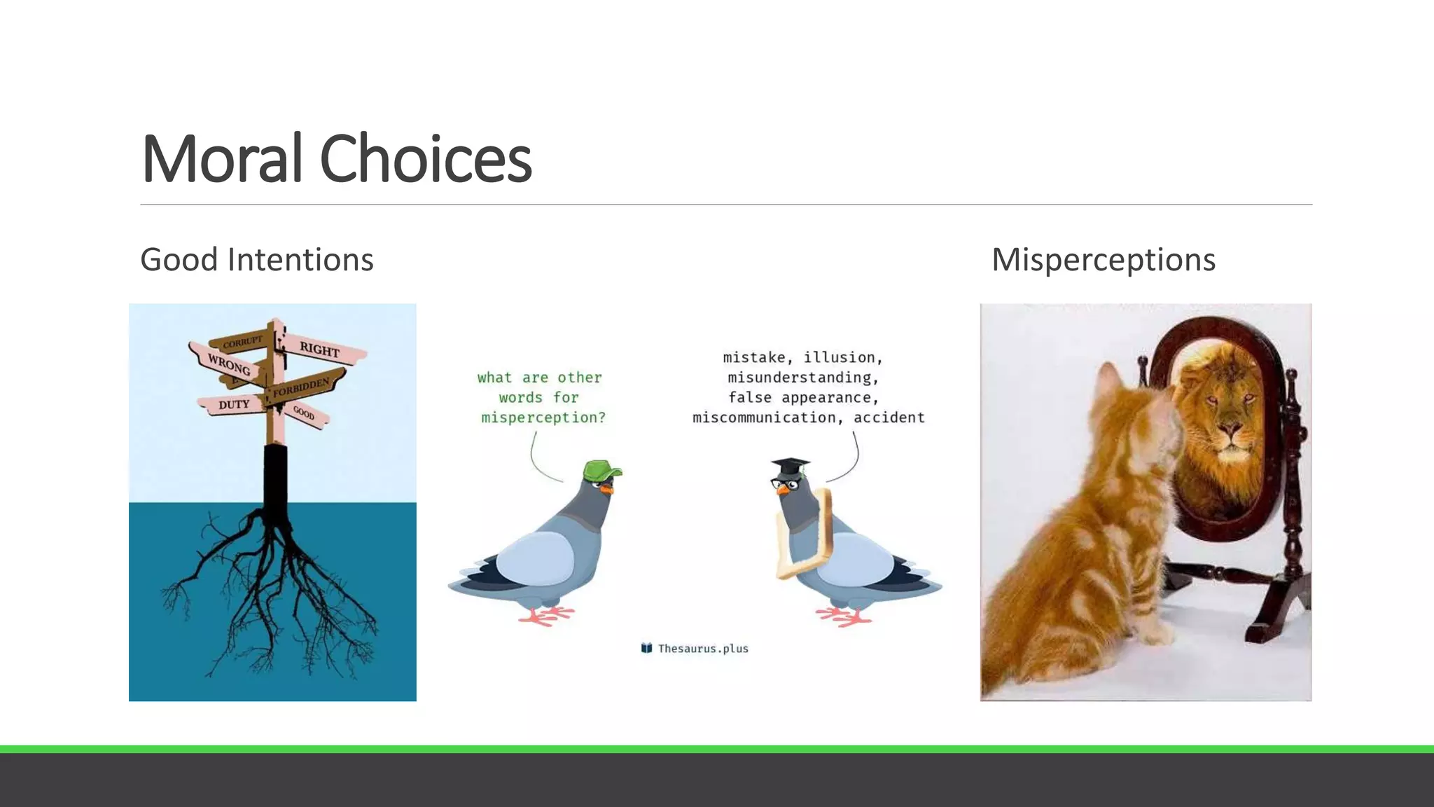 Moral Choices
Good Intentions Misperceptions
 
