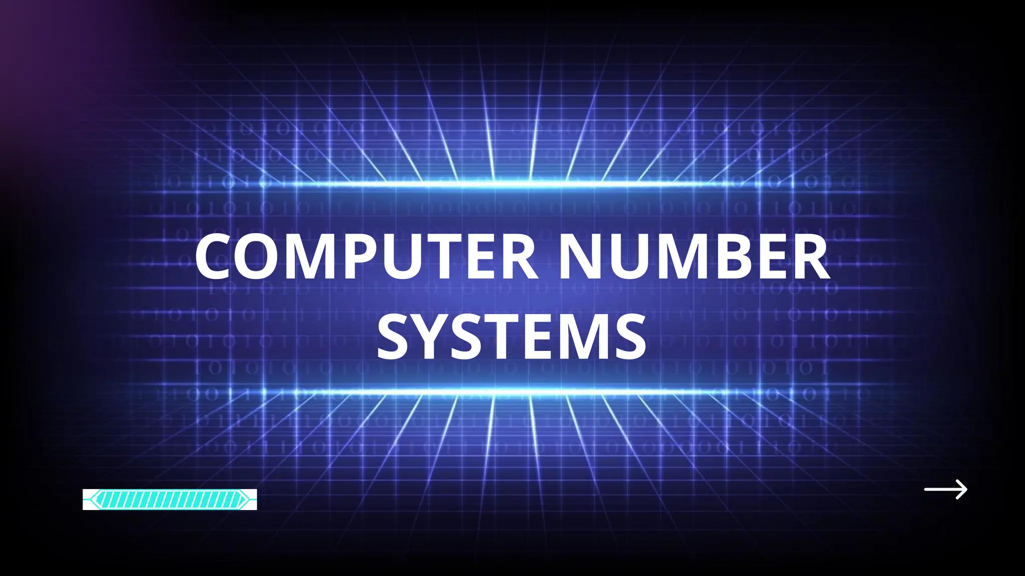 COMPUTER NUMBER
SYSTEMS
 