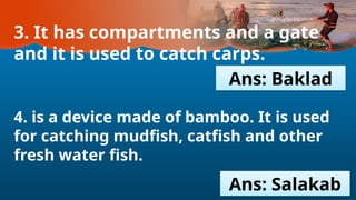 3. It has compartments and a gate
and it is used to catch carps.
4. is a device made of bamboo. It is used
for catching mudfish, catfish and other
fresh water fish.
Ans: Baklad
Ans: Salakab
 