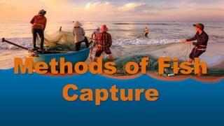 Methods of Fish
Capture
 