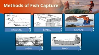 Methods of Fish Capture
HANDLINE BAKLAD SALAKAB
SPEAR PUKOT
 
