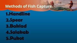 Methods of Fish Capture
1.Handline
2.Spear
3.Baklad
4.Salakab
5.Pukot
 