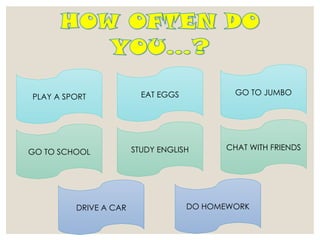 PLAY A SPORT
GO TO SCHOOL
DRIVE A CAR
EAT EGGS GO TO JUMBO
STUDY ENGLISH CHAT WITH FRIENDS
DO HOMEWORK
 