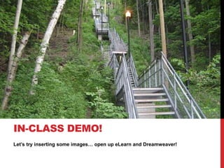 Let’s try inserting some images… open up eLearn and Dreamweaver!
IN-CLASS DEMO!
 