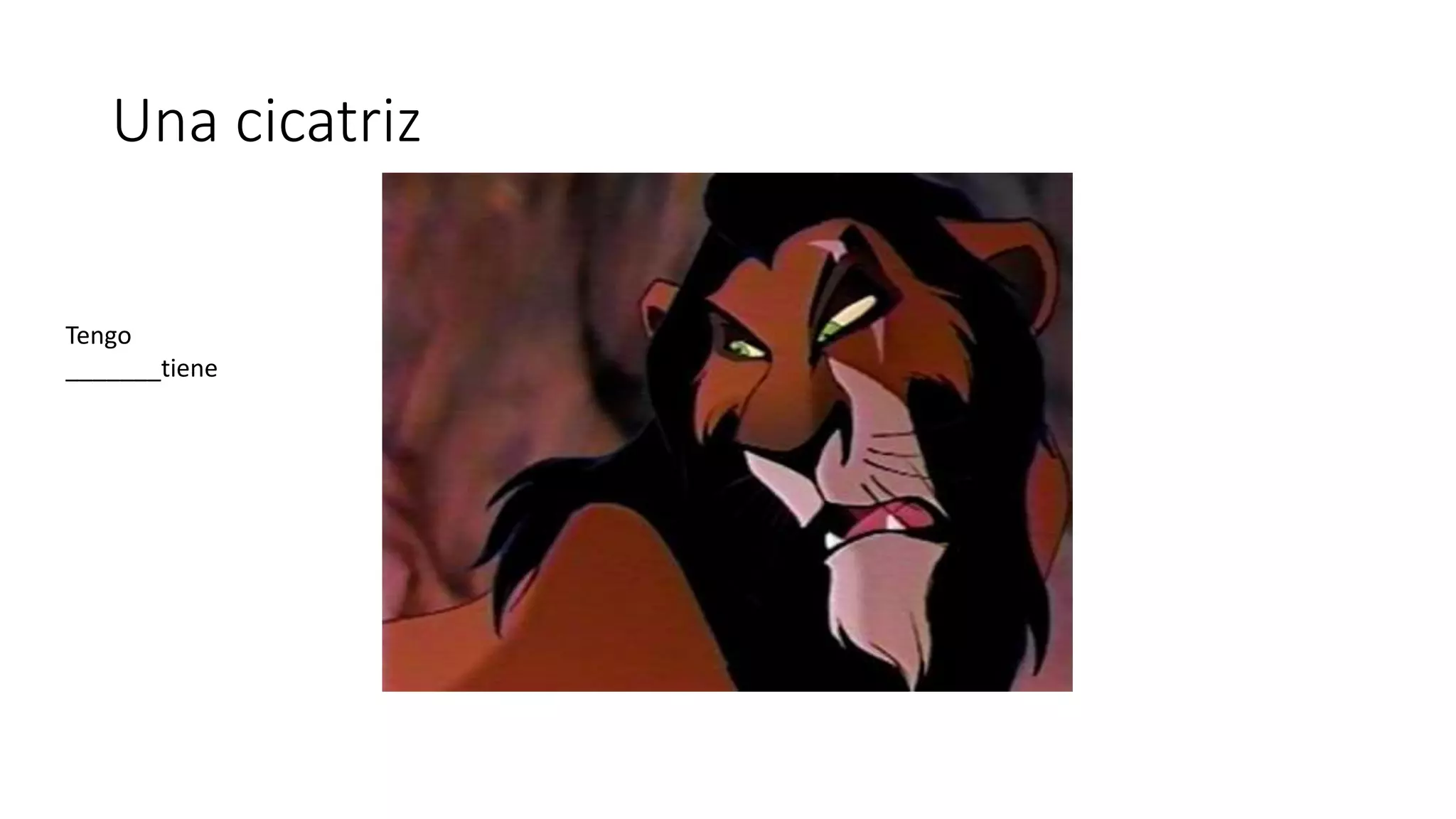 Una cicatriz
Tengo
_______tiene
 