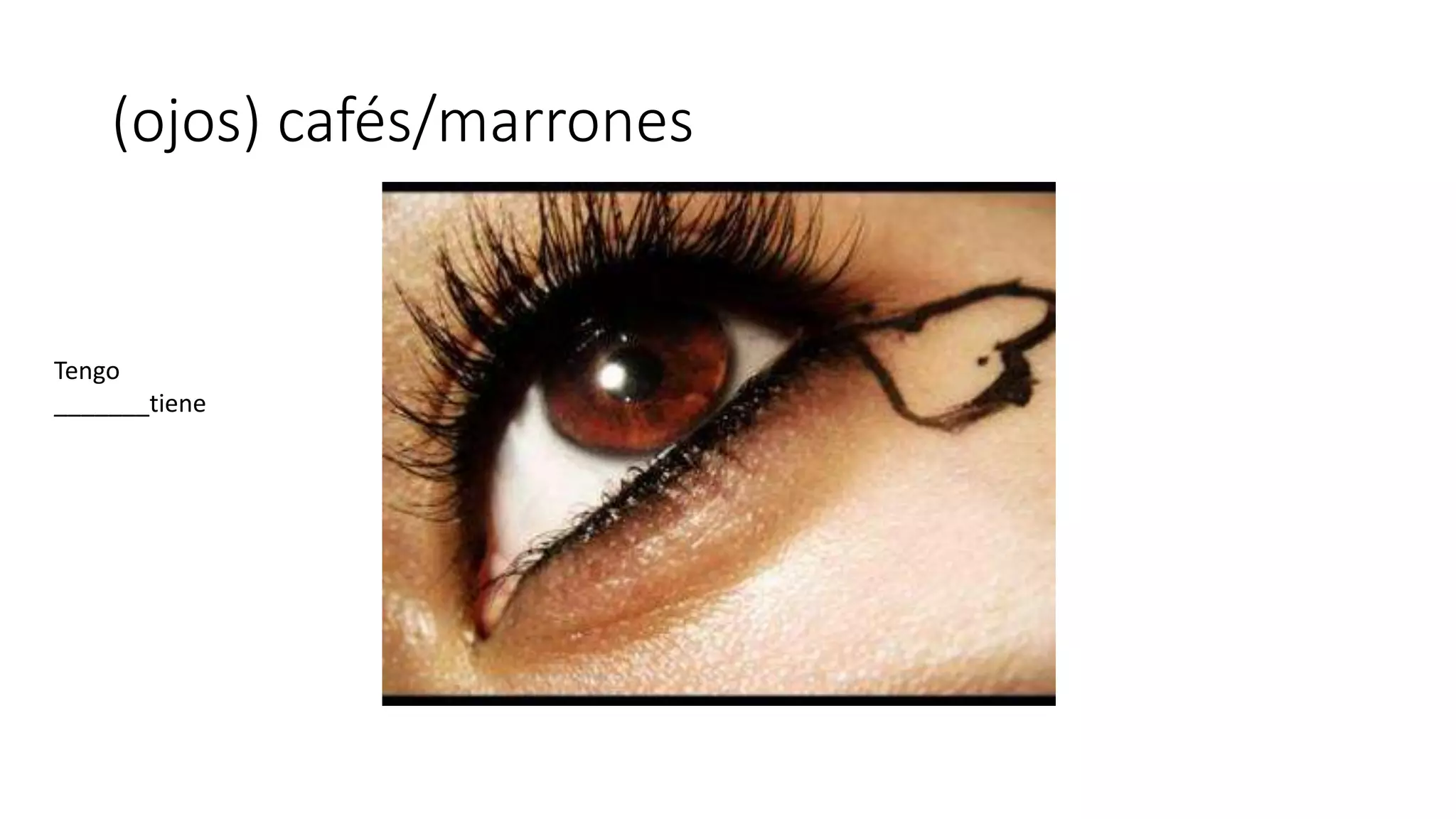 (ojos) cafés/marrones
Tengo
_______tiene
 