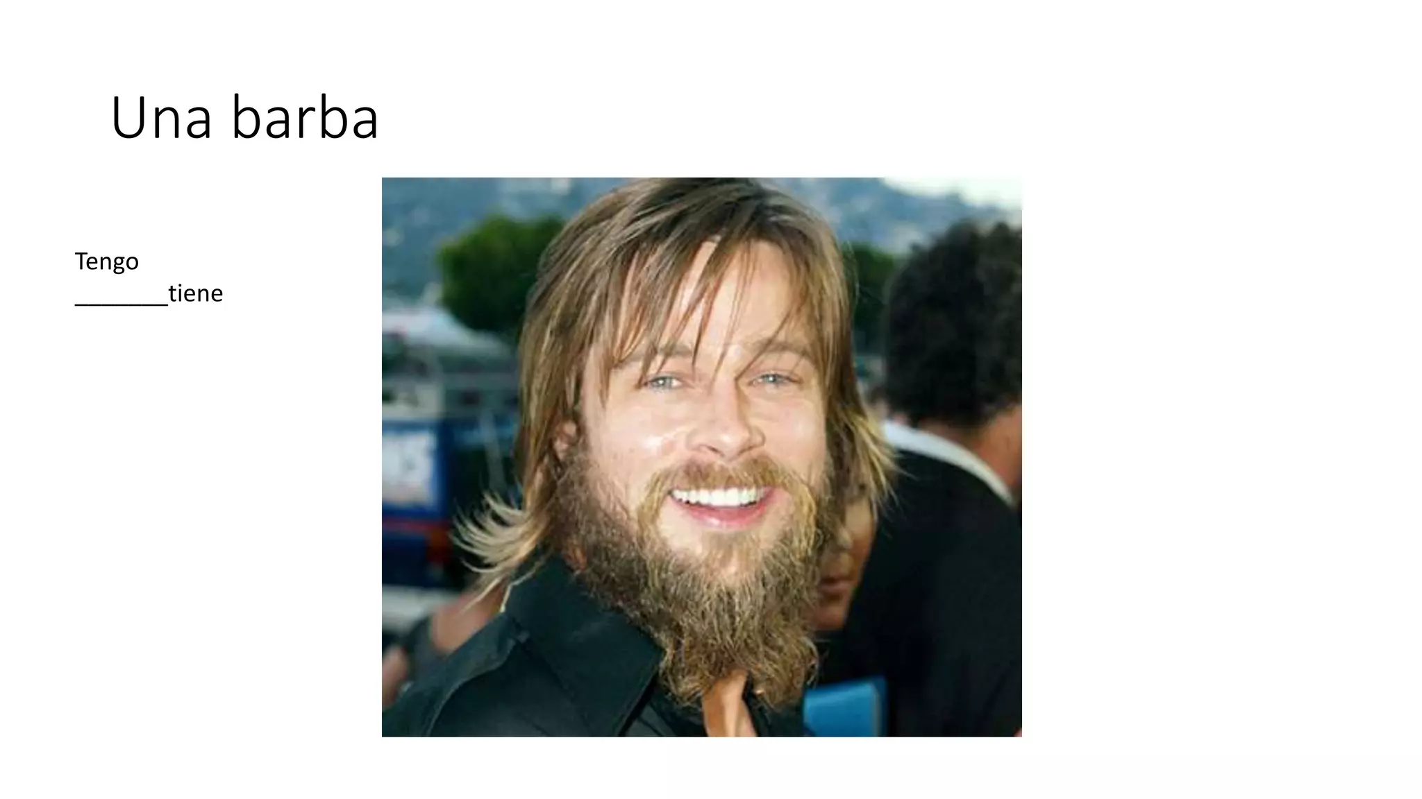 Una barba
Tengo
_______tiene
 