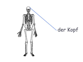 der Kopf
 