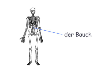 der Bauch
 