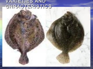 Fish and Shellfish | PPT