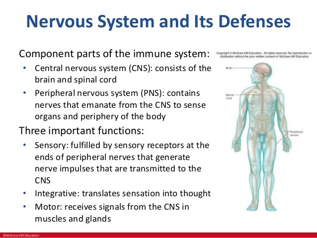 Zo 211 Week 6 Lecture
