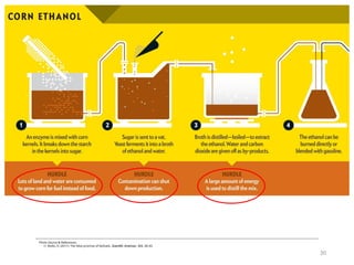 Photo Source & References:
1) Biello, D. (2011). The false promise of biofuels. Scientific American, 305, 58–65.
20
 