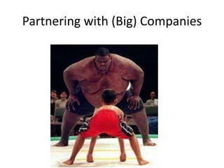Partnering with (Big) Companies

 